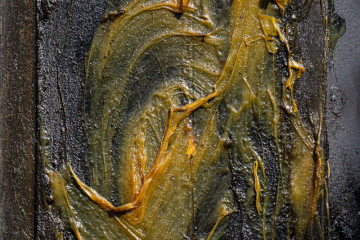 Moderne Kunst am Poller