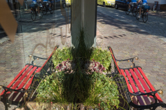 (Foto: jürgen Korb)