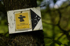 (Foto: Reiner Gruhle)