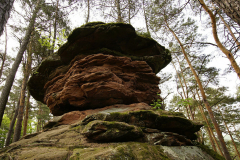 (Foto: Reiner Gruhle)