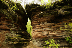 (Foto: Reiner Gruhle)