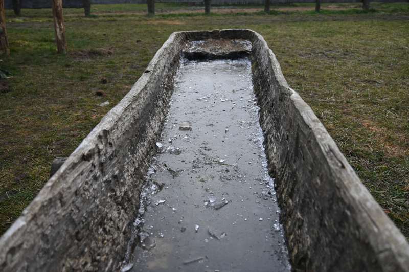 (Foto: Christina von Ameln)