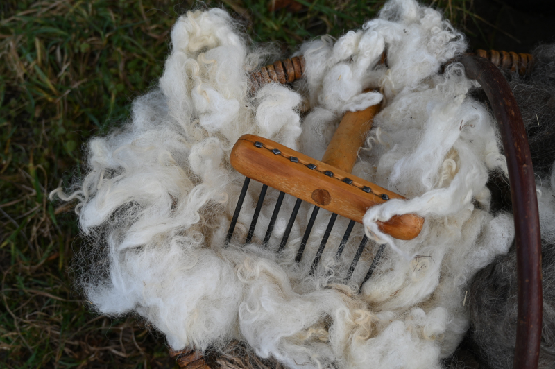 (Foto: Christina von Ameln)