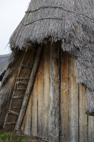 DSW_7382_Reetdach