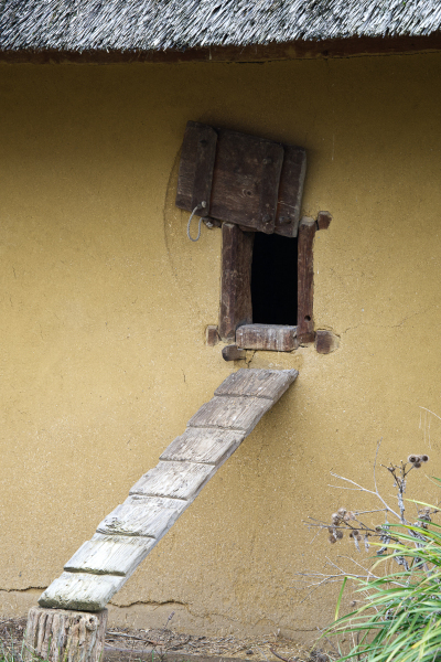 DSW_7394_Hinein_in_den_Hühnerstall