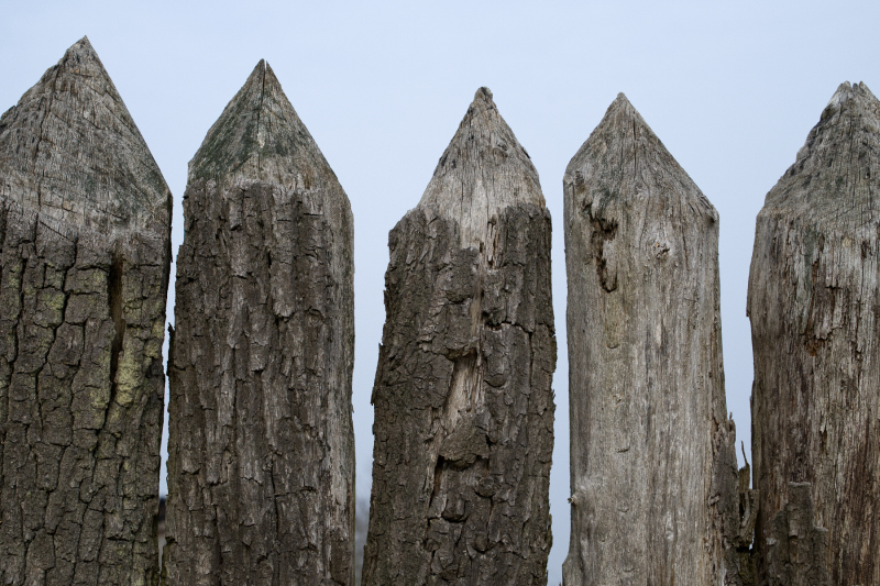 DSW_7493_Holzpfaehle