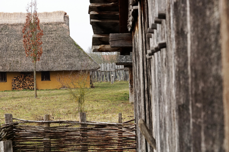 (Foto: Ingrid Stollenmayer)