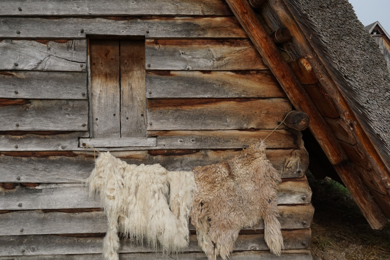 (Foto: Ingrid Stollenmayer)