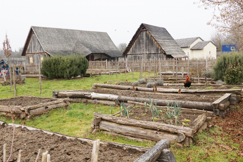 (Foto: Ingrid Stollenmayer)