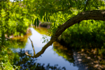 Am Wasser