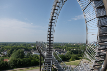 Tiger and Turtle (1)