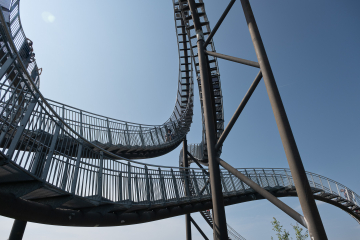 Tiger and Turtle (3)