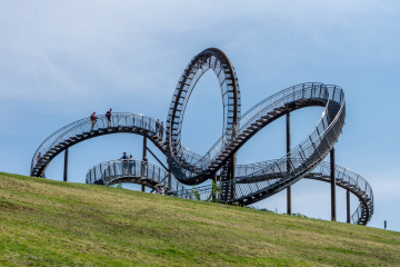 Tiger and Turtle (1)
