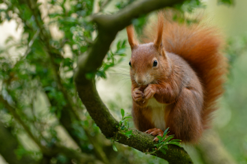 (Foto: Christopher Mau)