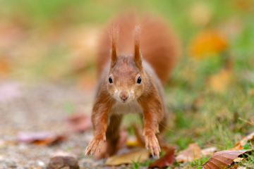 (Foto: Christopher Mau)