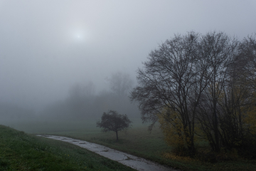 (Foto: Chris Marpe)