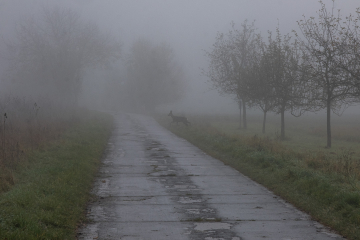 (Foto: Chris Marpe)