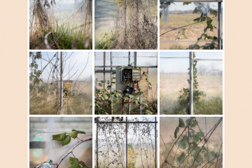 Quadratspielereien (1)