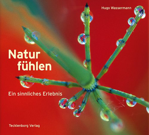 Wassermann