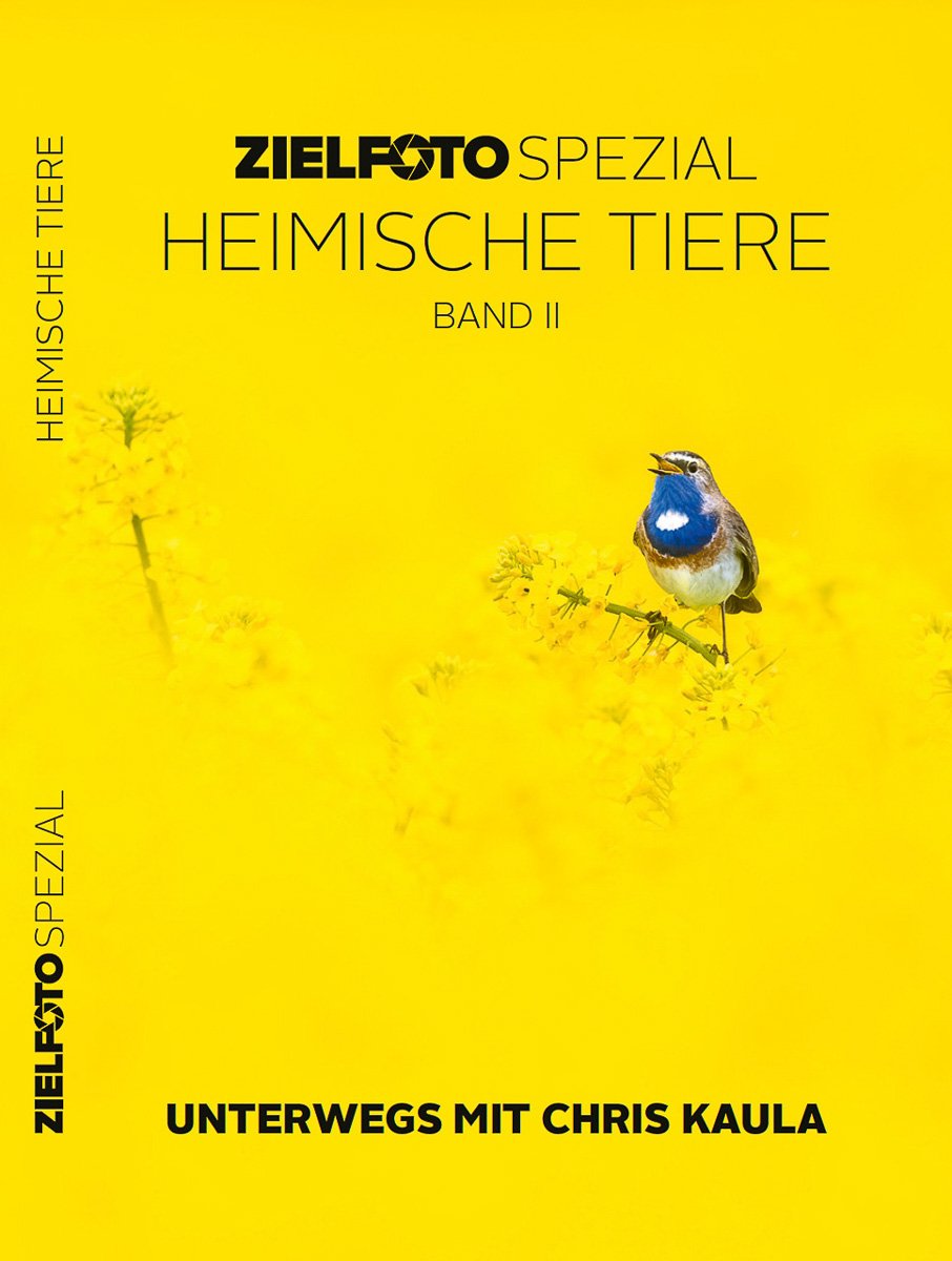 cover-tiere-fotografieren-zielfoto-2