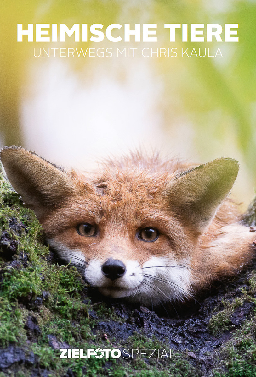 heimische-tiere-chris-kaula-zielfoto-001