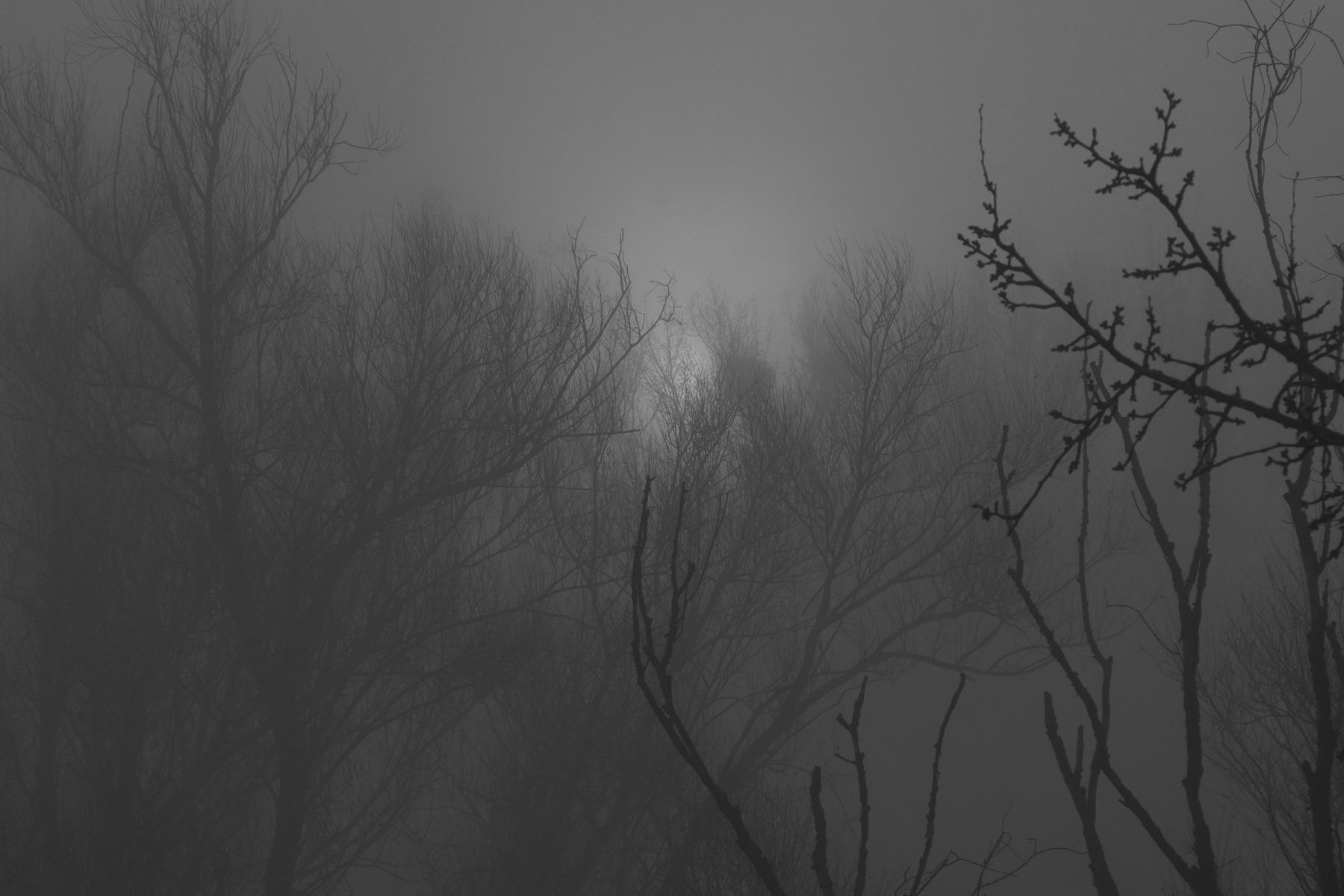 An den Mond