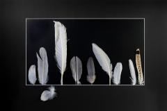 Aus dem Rahmen fallen