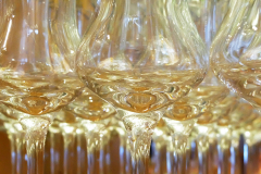 Prosit
