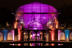 Farben der Nacht