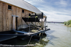 Schiffsmühle Ginsheim-Gustavsburg #2