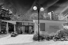Frieda