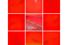 (Foto: Monika Seidel)