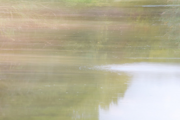 Wasser