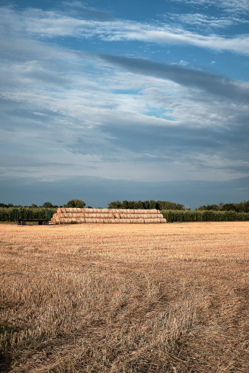 (Foto: Jürgen Korb)