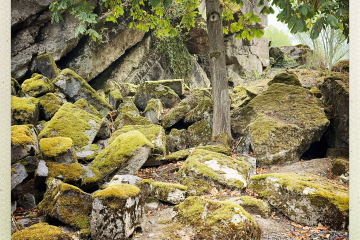 MS_Hindenburgbruecke_04