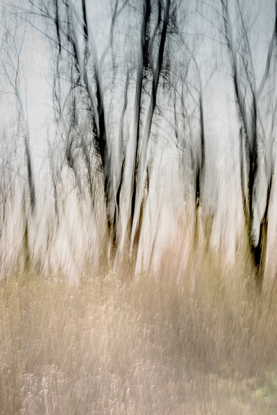 (Foto: Ingrid Bornhofen)