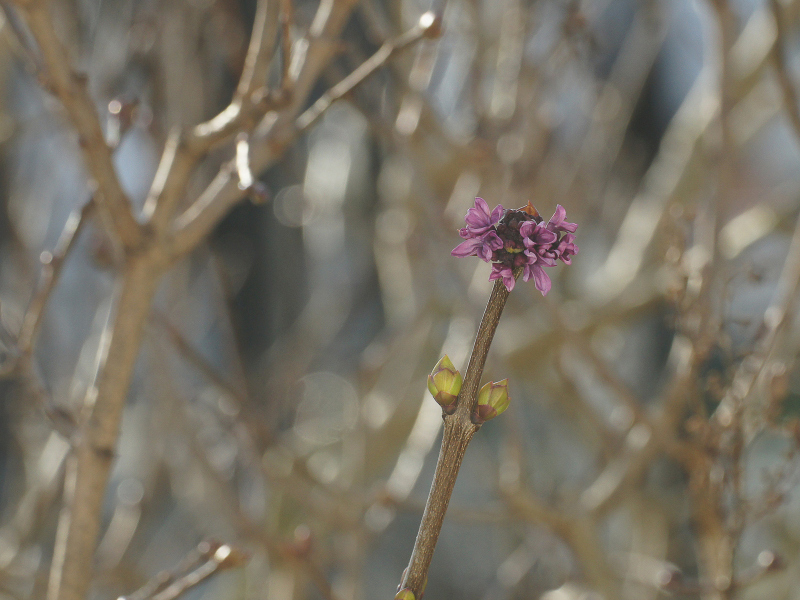 (Foto: Werner Otterbach)