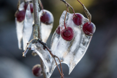 (Foto: Monika Seidel)