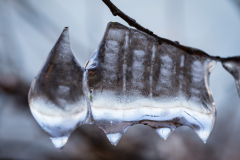 (Foto: Monika Seidel)