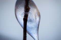 (Foto: Monika Seidel)