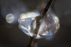 (Foto: Monika Seidel)