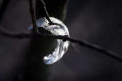 (Foto: Monika Seidel)