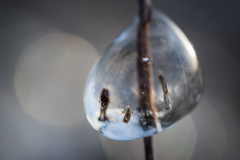 (Foto: Monika Seidel)