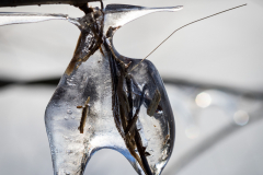 (Foto: Monika Seidel)