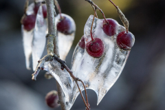 (Foto: Monika Seidel)