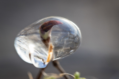 (Foto: Monika Seidel)