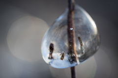 (Foto: Monika Seidel)