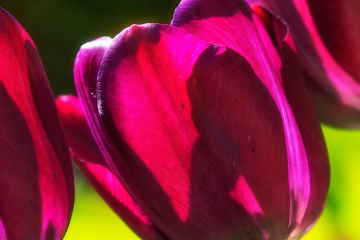 RiedFotoArt16