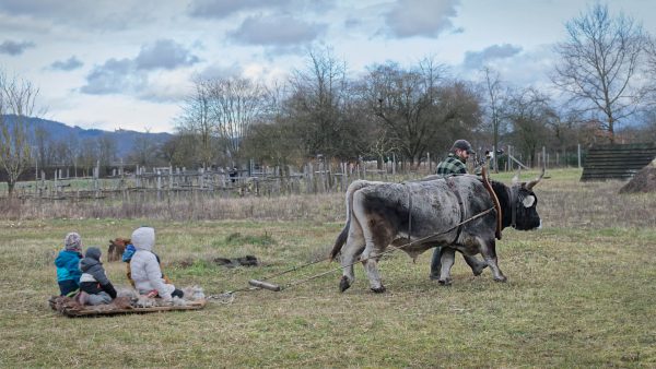 Freilichtlabor Lauresham / Weltkulturerbe Kloster Lorsch