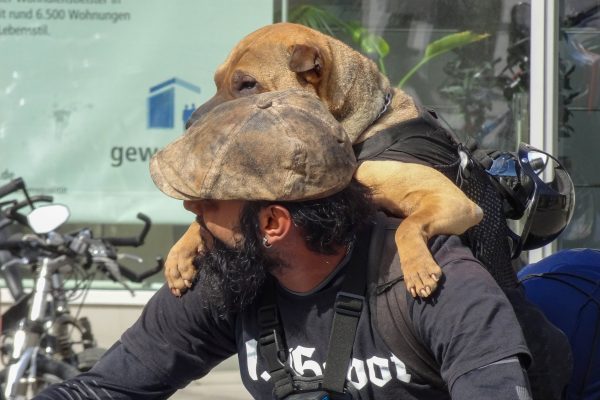 Huckepack (Foto: Ingrid Stollenmayer) Bearbeitung Ingrid Bornhofen